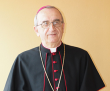 Ignoriranje izjave nadbiskupa Puljića i stvaranje vlastite stvarnosti